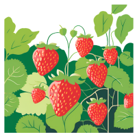 Aardbeiplant