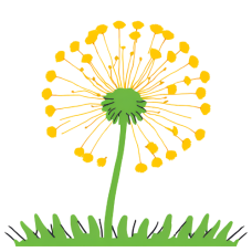 Paardenbloem